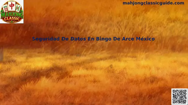 Seguridad de Datos en Bingo de Arce México
